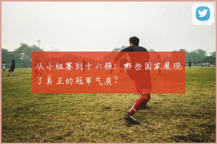 从小组赛到十六强：哪些国家展现了真正的冠军气质？