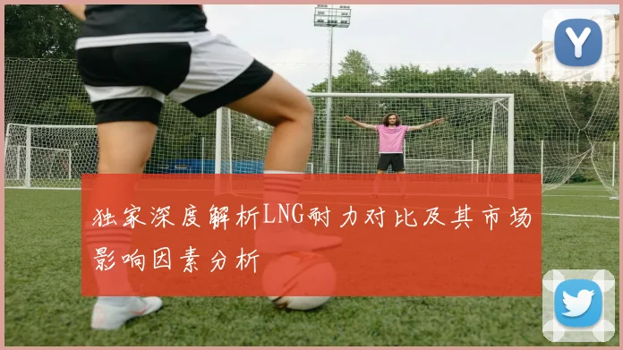 独家深度解析LNG耐力对比及其市场影响因素分析